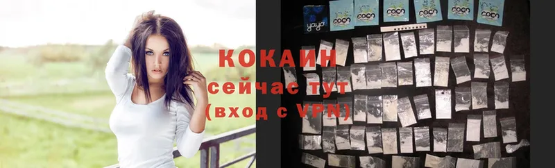 где купить наркоту  Старая Купавна  KRAKEN зеркало  Cocaine FishScale 